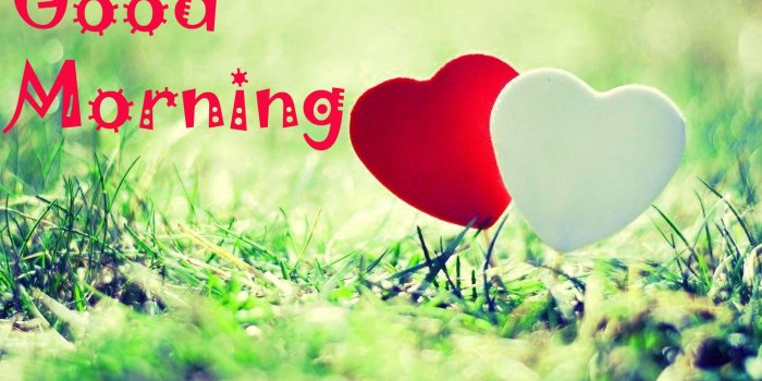 1553x1020 Good Morning Images Wallpaper Photo Pics Download For - Happy