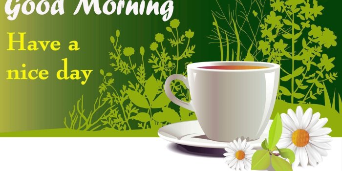 1920x1080 69+ Good Morning Wallpapers on WallpaperPlay