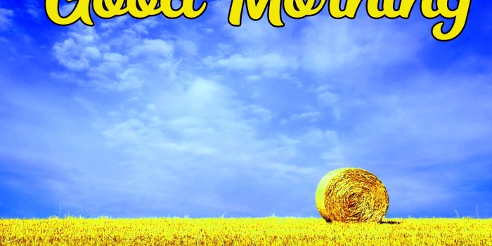 2598x1800 Top 622+ Beautiful HD Good Morning Love Images Wallpaper of couple