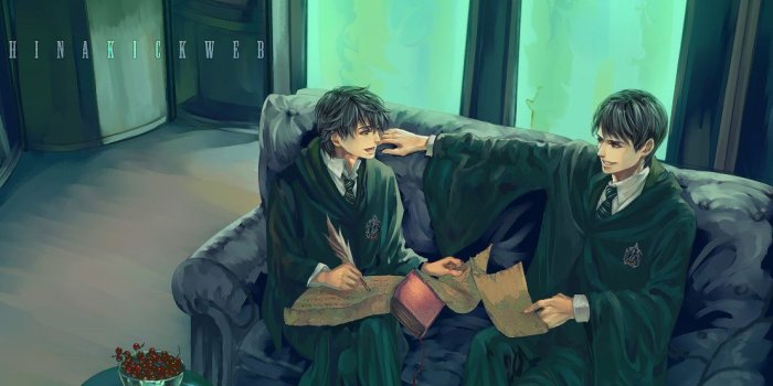 1110x1200 Slytherin Common Room - Lord Voldemort Fan Art (17369785) - Fanpop