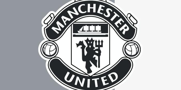 1242x2208 Manchester United iPhone Wallpaper (66+ images)
