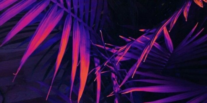 720x1280 Maybe for banana butt or anything else tropical | Ideas from Ollie