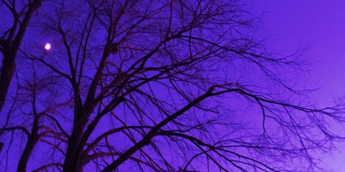 1500x2000 Aesthetic Backgrounds Pastel Purple - india's wallpaper