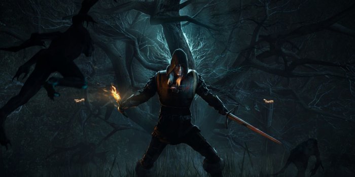 1920x1080 Wallpaper the witcher 3 geralt alone forest 1920x1080 | The Witcher