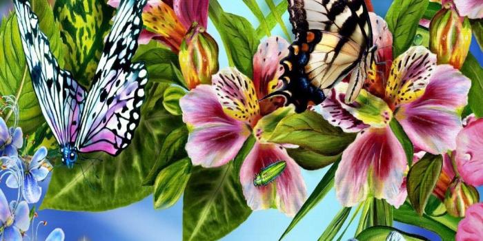 1024x768 The most beautiful flower wallpapers of the world colors of spring