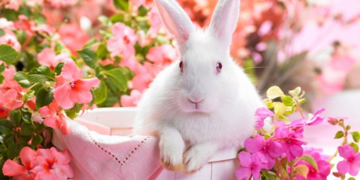 1600x1000 Most Beautiful Backgrounds