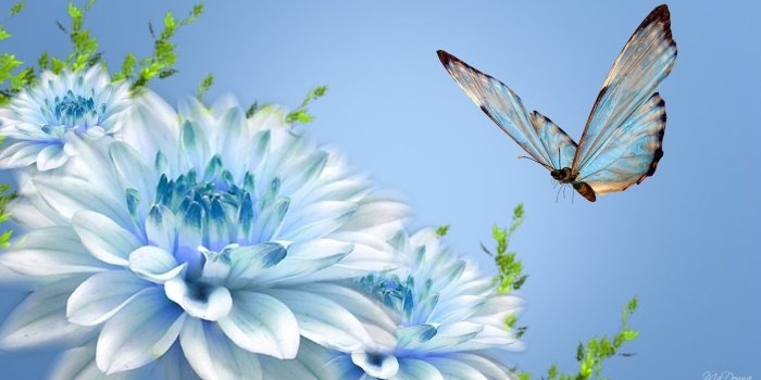 1920x1080 63+ Beautiful Flowers Wallpapers on WallpaperPlay