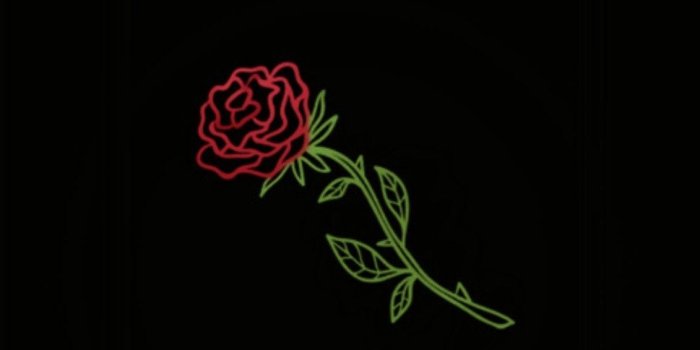 1131x2048 Pinterest ~ @aliciamarie200 ♡ Black Roses Wallpaper, - Carmine