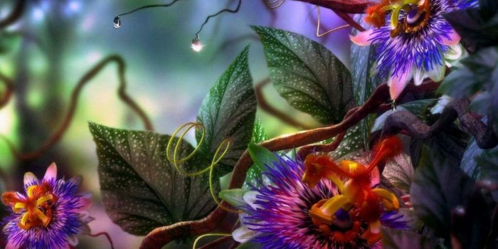 1241x776 Beautiful Flowers Wallpapers With Quotes on WallpaperGet