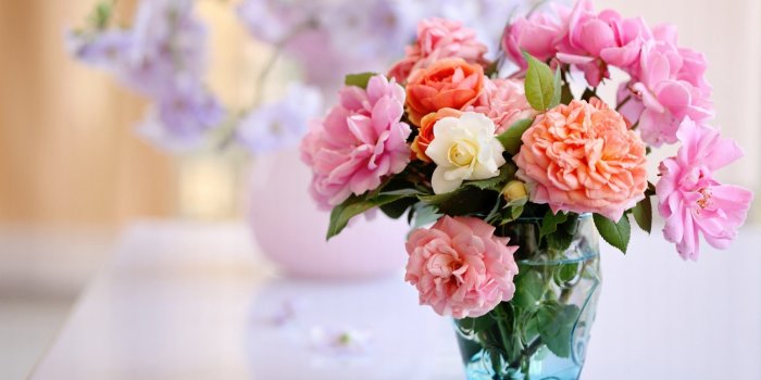 2560x1600 Beautiful Flowers Hd Wallpapers For Mobile (50+ images) on Genchi.info
