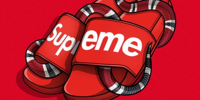 831x962 Supreme Gucci Wallpapers - Top Free Supreme Gucci Backgrounds