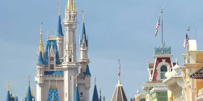 750x1333 Walt Disney World Resort Wallpaper For Desktop Laptop - Disney World