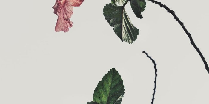 1080x1620 100+ Aesthetic Pictures [HD] | Download Free Images on Unsplash