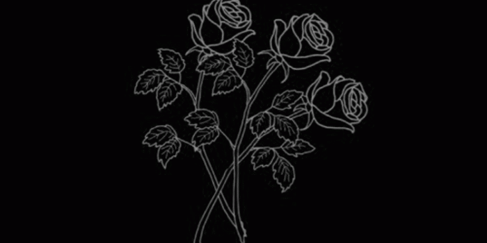 750x1334 Black Aesthetic Wallpapers