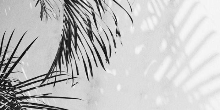 759x1181 22+] White Aesthetic Wallpapers on WallpaperSafari