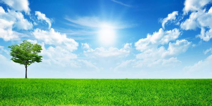 1920x1200 Sunny Blue Sky Wallpaper - Sunny Day Background (#146664) - HD