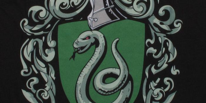 1000x1000 Slytherin Crest Png (102+ images in Collection) Page 2