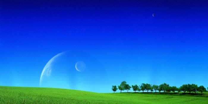 1920x1200 Vibrant Field Trees Blue Sky wallpapers | Vibrant Field Trees Blue