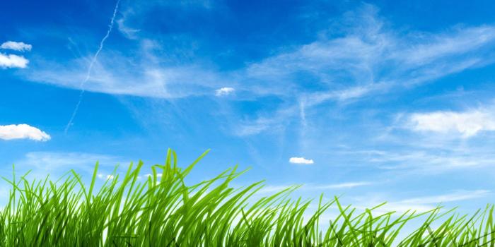 1920x1200 Blue Sky Green Grass Wallpaper [1920x1200]