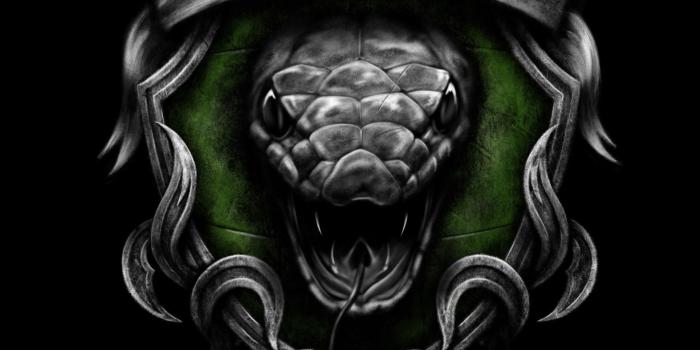 1920x2773 Slytherin iPhone Wallpaper (30 + Background Pictures)