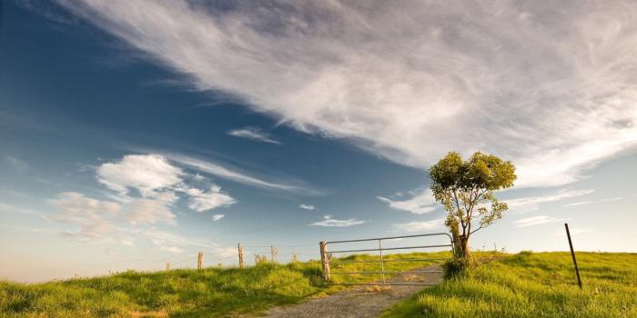 1334x750 Hdwallpapers87.com - Download Blue sky and a green field Desktop