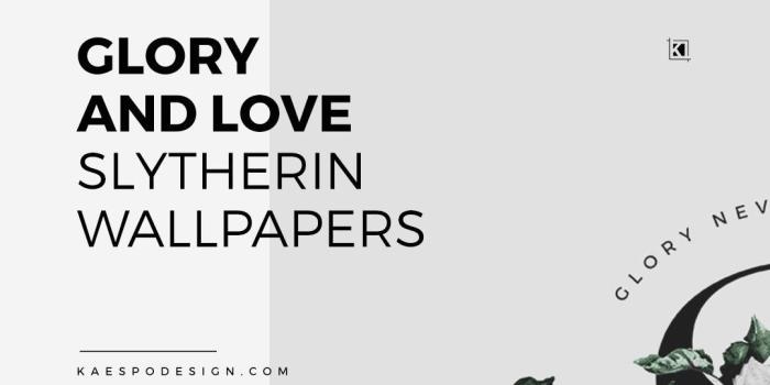 1080x1920 Harry Potter Hogwarts Slytherin Crest Best Widescreen - Oshawott, Hd