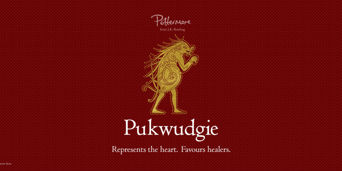 1920x771 Pukwudgie Corner (Ilvermorny house) | Page 1 | Hogwarts Extreme
