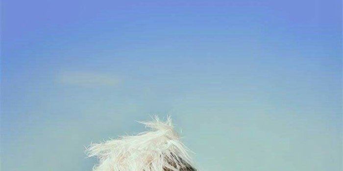 768x1366 486c0863 Pink_1305 on ✨ GOT7 ✨ | Got7, Bts wallpaper