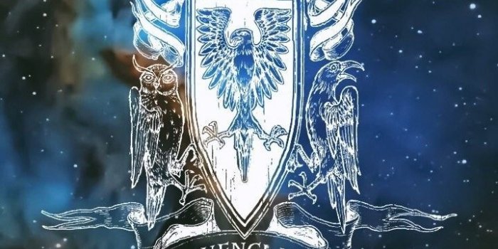 719x1280 Ravenclaw | HP in 2019 | Harry potter wallpaper, Harry potter, Hogwarts