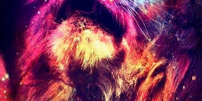 900x1600 Awesome Cell Phone Wallpapers - Top Free Awesome Cell Phone