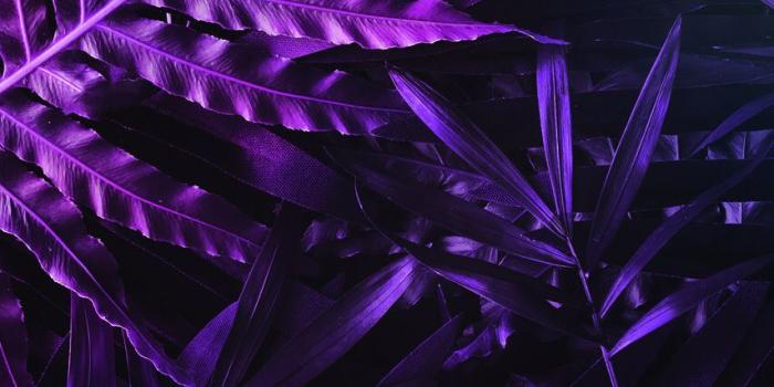 854x1590 Hey, check out this awesome wallpaper! #wallpapersforme apalon.com