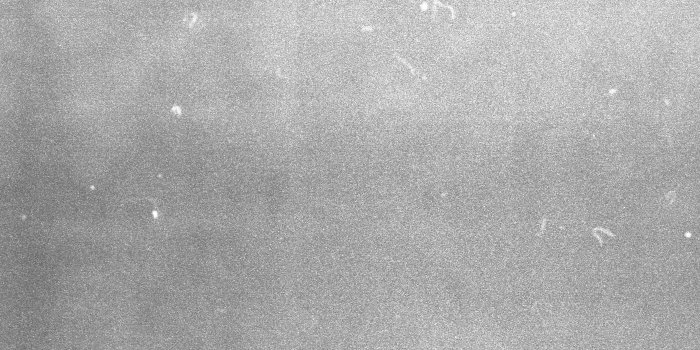 3248x2272 Free stock photo of 35mm, grain, texture