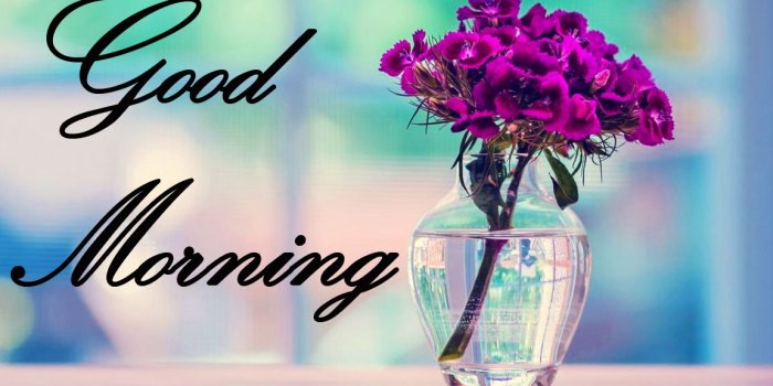 1151x690 Latest Good Morning Images Wallpaper Photo Pics HD Download For