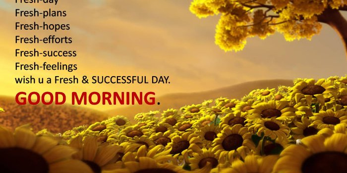 1900x1200 Good Morning Wallpapers