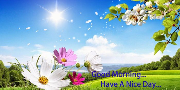 1600x927 Beautiful wallpaper Good Morning quote