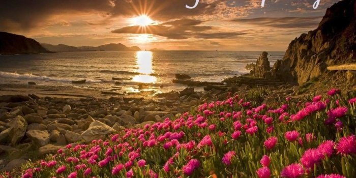 1024x768 Good Morning Images, 3D GIF, HD Pics & Photos Free Download