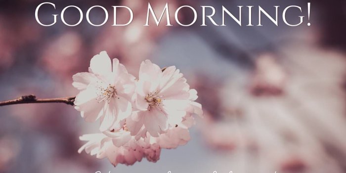 1024x768 Amazing Good Morning Quotes and Images that Will Inspire You