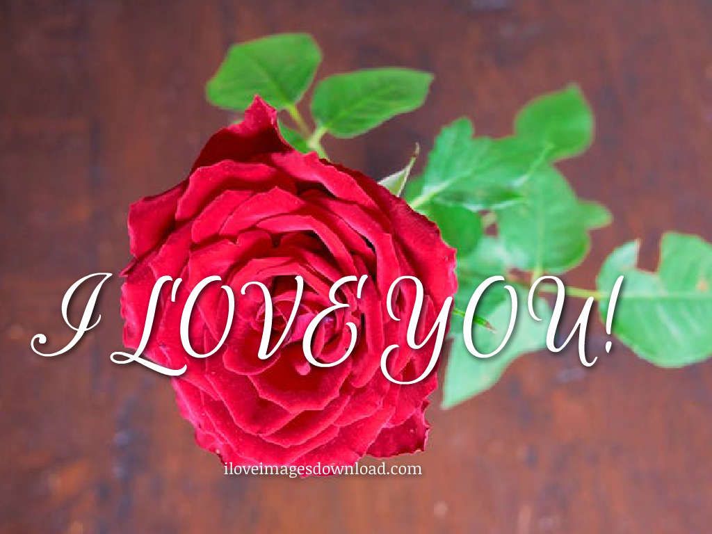 1024x768 Good Morning Images: Free Download Beautiful Good Morning Images in