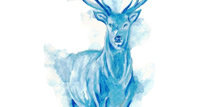 1280x1811 Harry Potter inspired my watercolour painting last night | Baby Boy