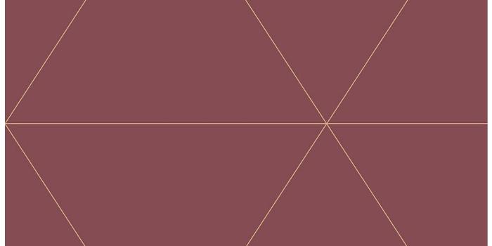 1000x1000 A-Street 8 in. x 10 in. Twilight Red Geometric Wallpaper Sample