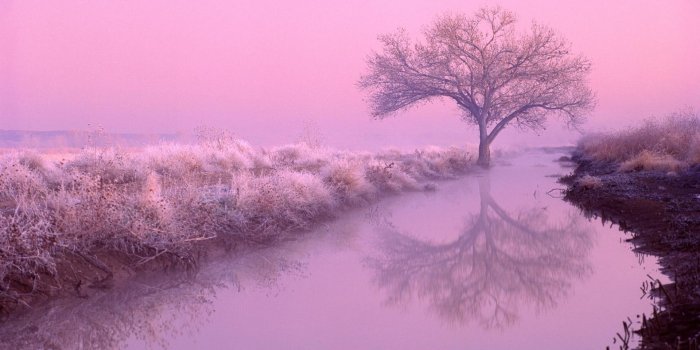 1920x1080 Pink Aesthetic Wallpapers