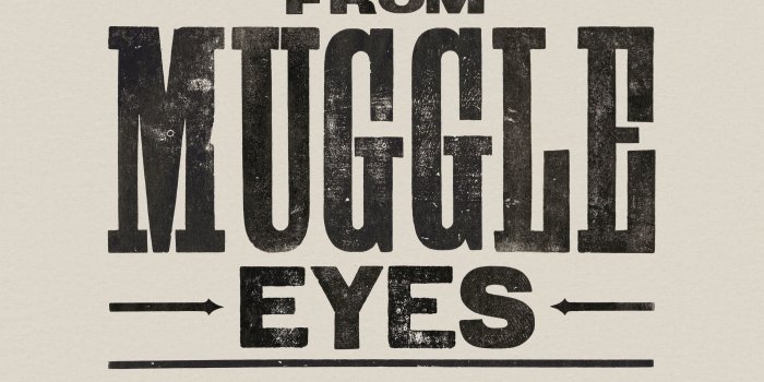 2480x3508 SOS Task Force - Harry Potter Wizards Unite