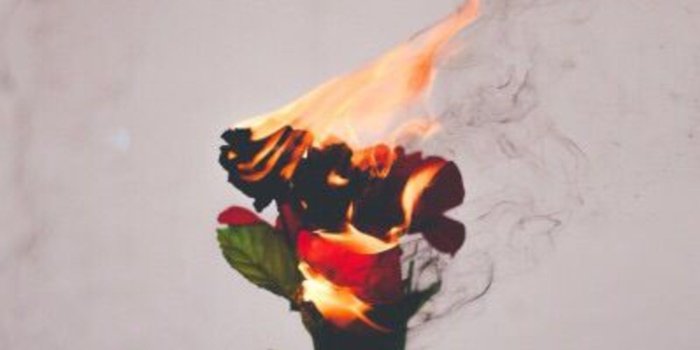 1702x2560 Aesthetic Flowers Wallpapers