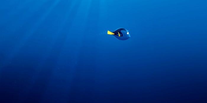 1270x729 Disney Pixar Finding Dory Hd Desktop Wallpaper | Wallpapers Nature
