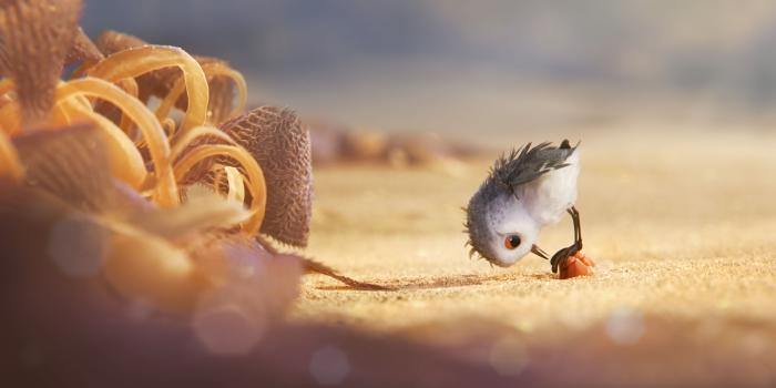 3840x2160 Piper Pixar Wallpapers
