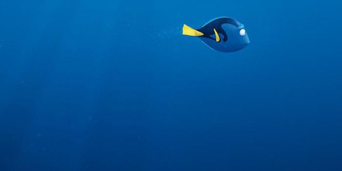 1242x2208 iPhone7papers.com | iPhone7 wallpaper | as23-finding-dory-disney