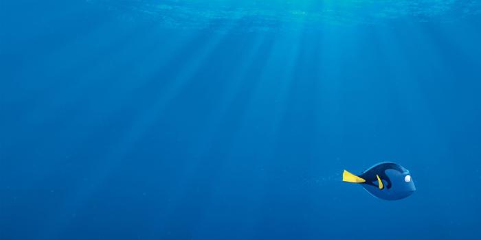 3840x2160 Wallpaper Finding Dory, nemo, shark, fish, Pixar, animation, Movies