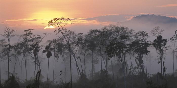 1920x1080 Chill Wallpapers - Top Free Chill Backgrounds - WallpaperAccess