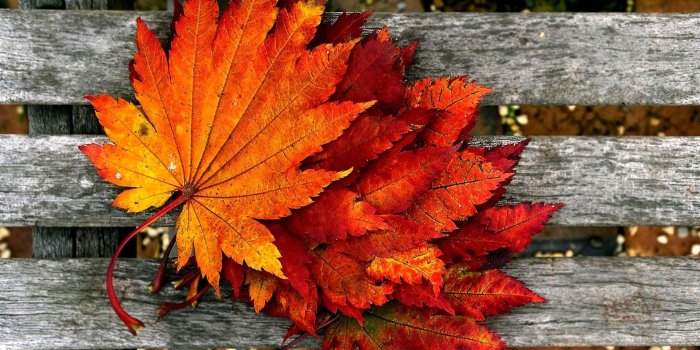 1920x1080 Autumn 2018 Wallpapers