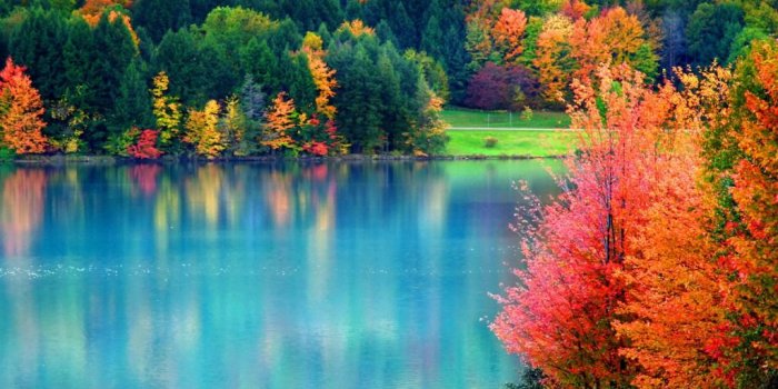 1024x768 Fall Wallpaper - cynthia-selahblue (cynti19) Wallpaper (35525304